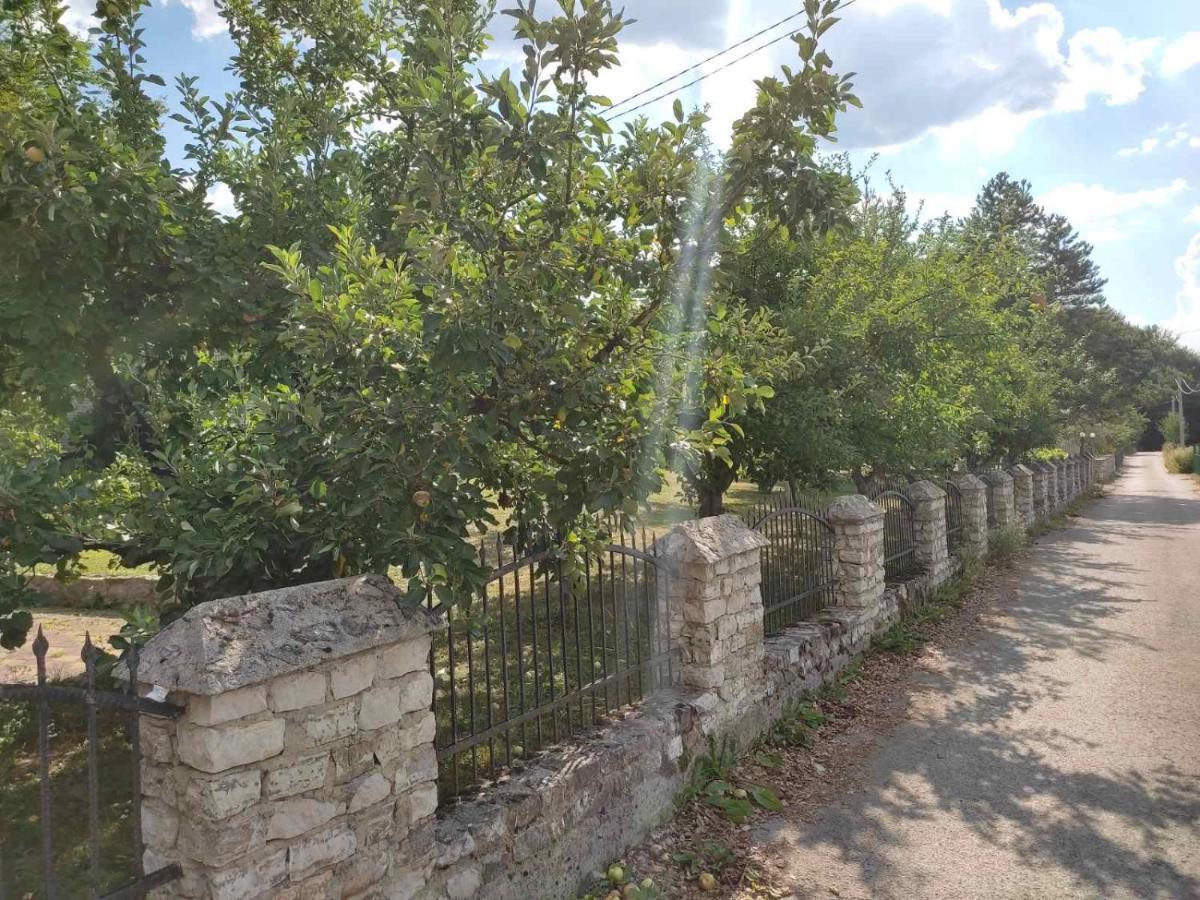 Villa Ema Saraybosna Dış mekan fotoğraf