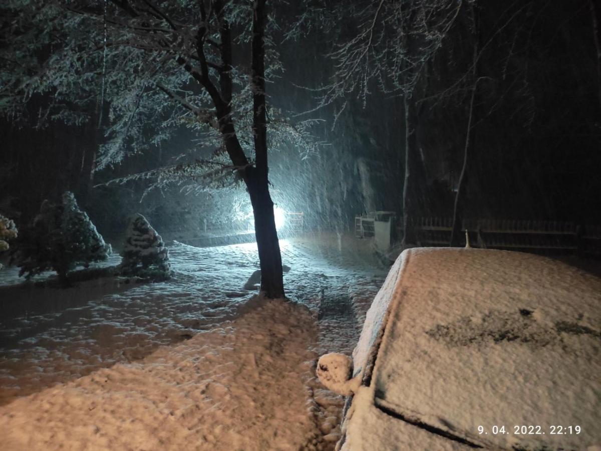 Villa Ema Saraybosna Dış mekan fotoğraf