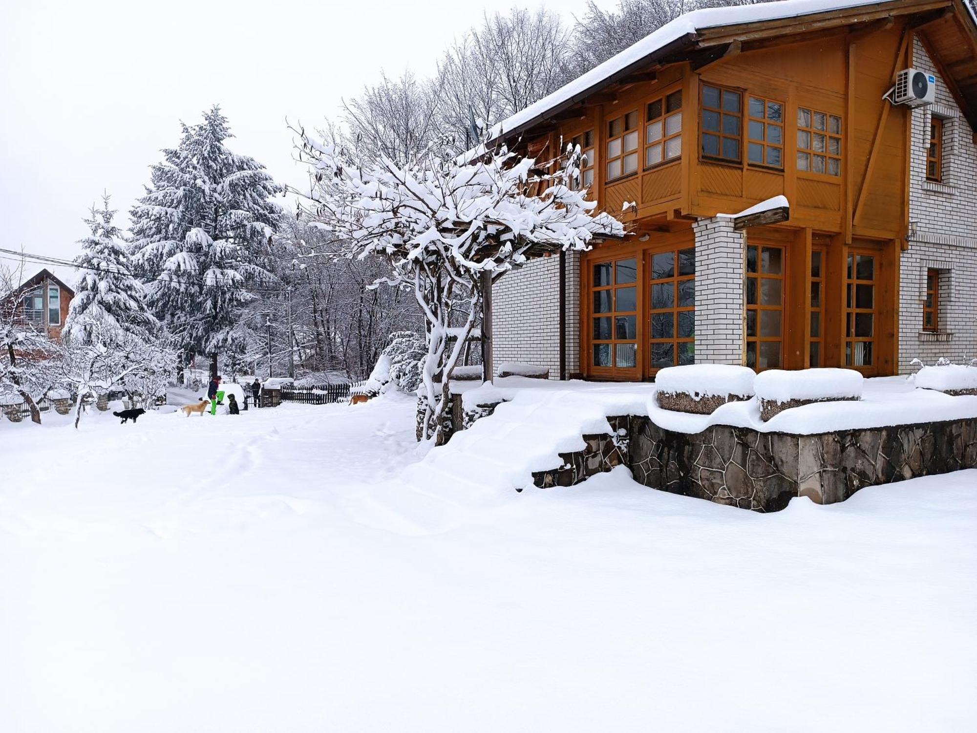 Villa Ema Saraybosna Dış mekan fotoğraf